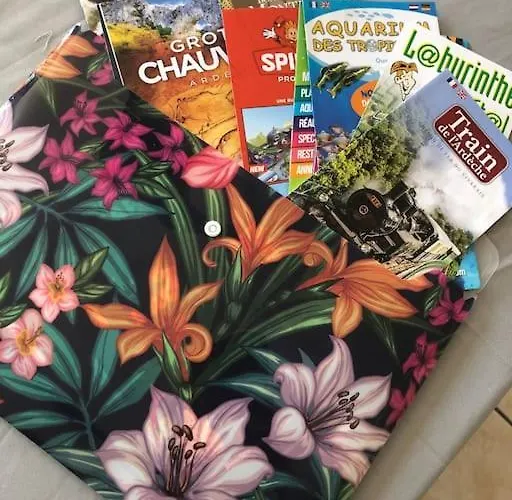 公寓 Balcon, Place De Parking, Centre